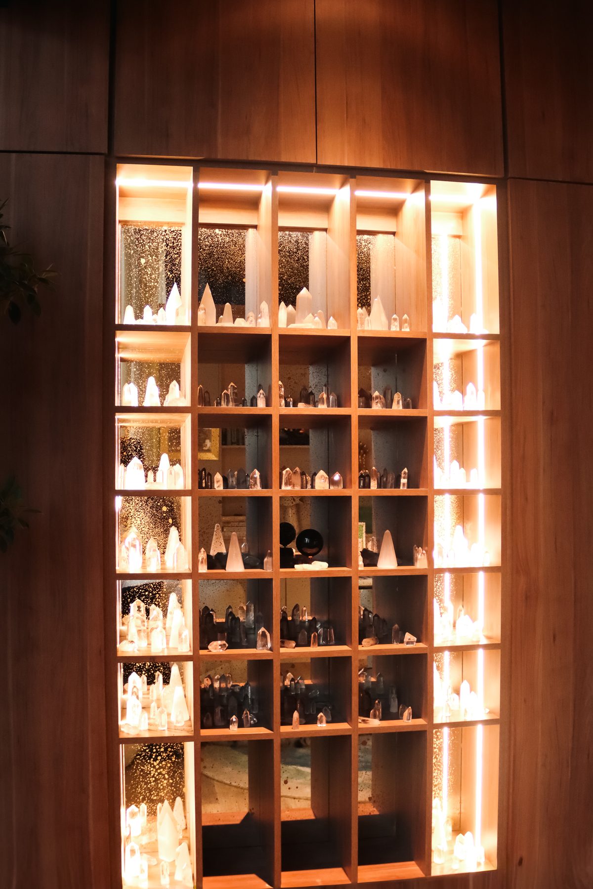 The lit shelving in the main office